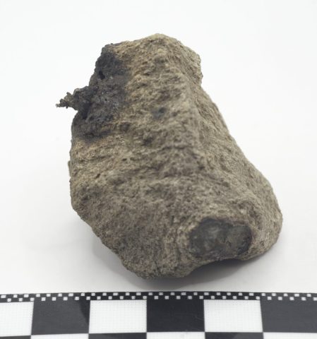 10з - Зразок № 6144. Дендрит самородного золота на звітрілій породі. Штат Аляска, США. Розміри зразка 5,5х3,5х3 см, 1894 р., дилер R. Lewis. Фото Романа Метельського