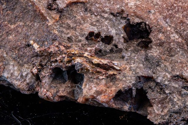 12з -Зразок № 6344. Вкраплення самородного золота в кварці. Йоганнесбурґ, провінція Гаутенг, ПАР. 4,5х3,5х1 см, 1895 р., дар доктора Еміля Голуба.