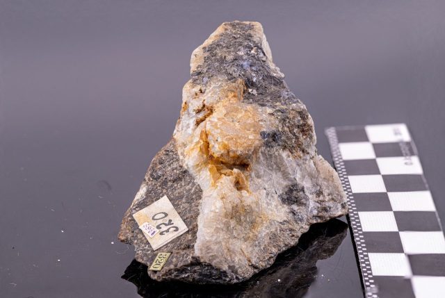 13з - Зразок № 5988. Вкраплення самородного золота в кварці і галеніті. Родовище Вандерер, район Шуругві, провінція Мідлендс, Зімбабве. Розміри зразка 8,5х5х3 см, поч. ХХ ст., дилер W. Maucher